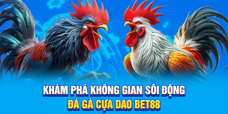 Khám phá không gian sôi động đá gà cựa dao bet88