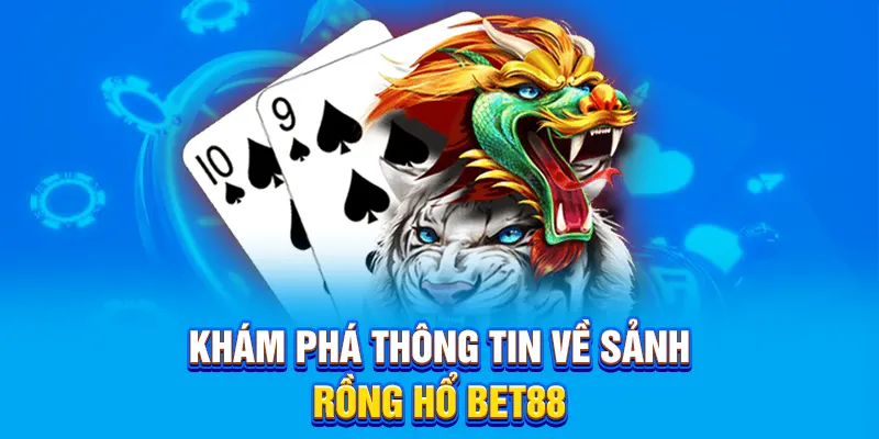 Khám phá thông tin về sảnh rồng hổ Bet88