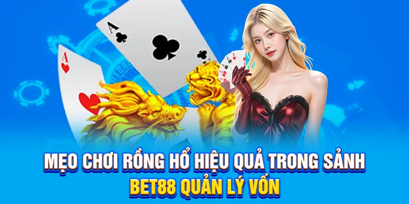 Mẹo chơi rồng hổ hiệu quả trong sảnh Bet88 quản lý vốn
