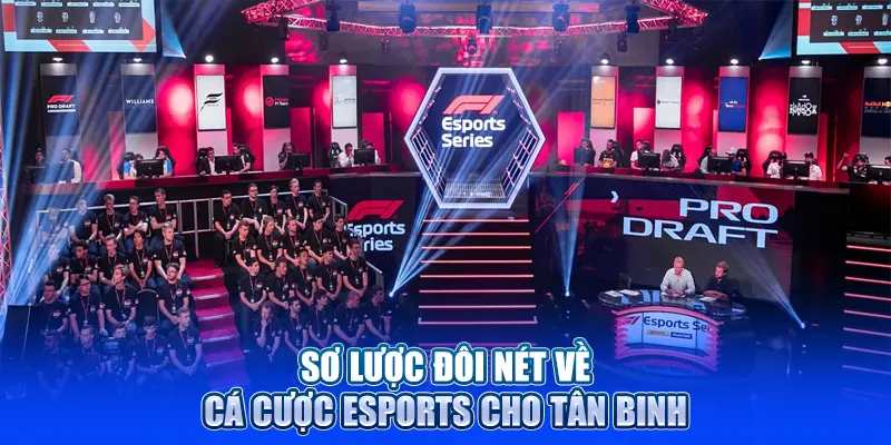 Cá cược esprots với các môn thể thao phổ biến nhất